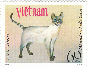 viet-nam