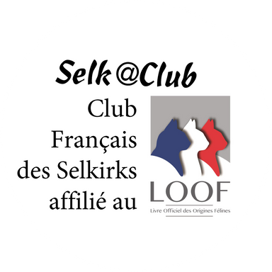 SelkClub