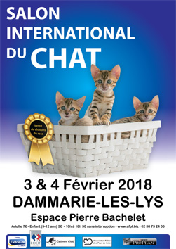 176dammarieaffiche