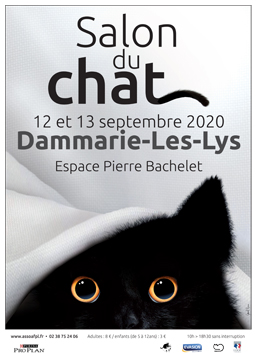 182dammarieaffiche