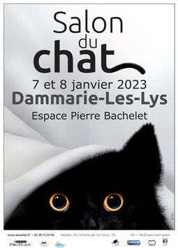 182dammarieaffiche