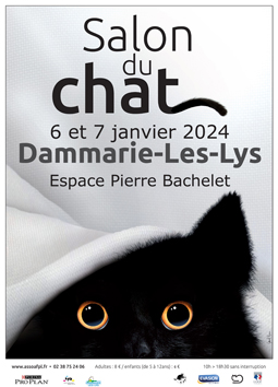 207dammarieaffiche