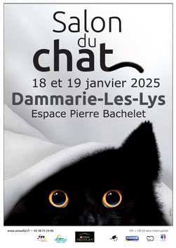 186orleansaffiche