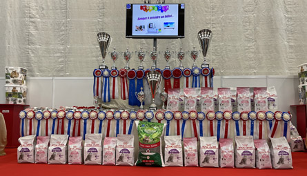 198podium
