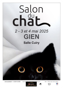 202dammarieaffiche