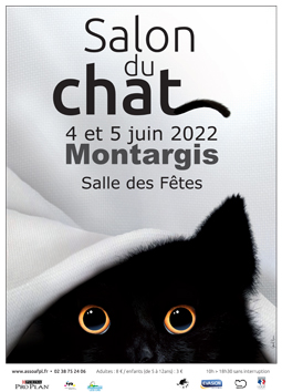 184montargisaffiche