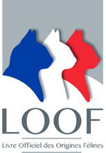 logoloof